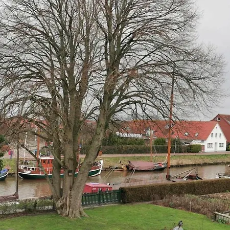 Kohn 10, Carolinensiel